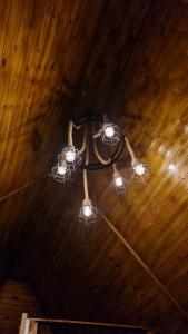 Căpăţîneni-PămînteniCălăreții lui Țepes的相册照片