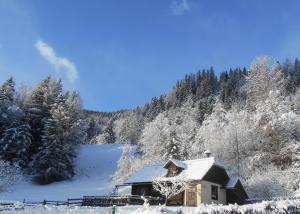 Gallery image of Umundumhütte in Katsch an der Mur