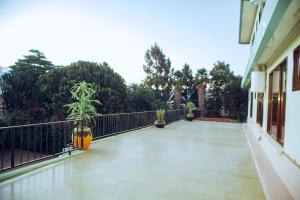 a balcony with potted plants and a fence at MBEYA PARADISE INN in Mbeya