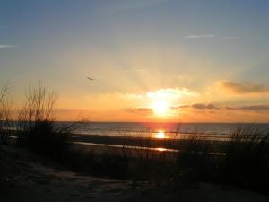 a sunset on the beach with a bird flying at Le Marquenterre in Quend-Plage