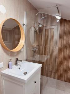 a bathroom with a sink and a shower with a mirror at Casa cu Cires Breaza in Podu Vadului