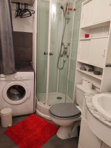 a bathroom with a shower and a toilet and a sink at Studio cosy avec vue rivière et montagne in Barèges