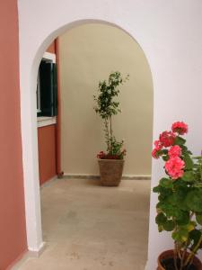 カラミにあるLena Blue Sea Apartmentsの廊下に鉢植えのアーチ道