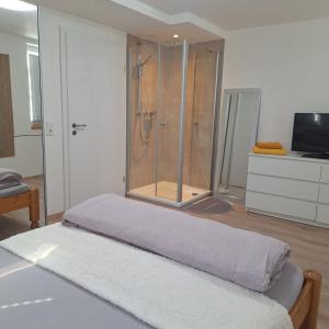 a bedroom with a shower and a bed and a television at Gasthaus Sonne 3 in Braunsbach