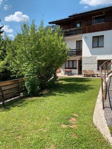 a yard with a tree and a building at Casa Bruna in Forno di Zoldo