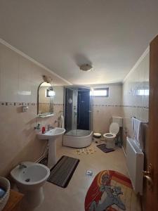 a bathroom with a sink and a toilet and a shower at Coltul verde in Târgu Neamț +15 photos