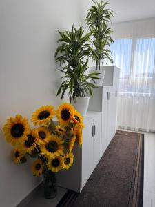 Fotografie z fotogalerie ubytování MEGAN RESIDENCE - floor 3 v destinaci Shëngjin