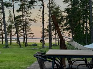 a hammock sitting next to a table with a view of the ocean at Hidden Hiiumaa Seaside Cottage in Kõrgessaare