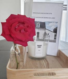 a red rose in a vase next to a candle at Gîte AnjouLoire in Saint-Mathurin +18 photos