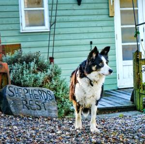 a dog standing in front of a house at Finest Retreats Shepherds Rest at Morrells Wood in Shrewsbury