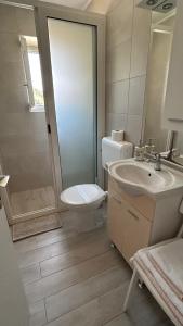 a bathroom with a toilet and a sink and a shower at Apartments Anica in Sobra +51 photos
