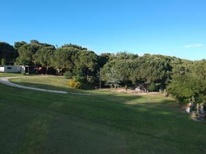 a grassy field with trees and a road at Camping Paradiso in Pesaro