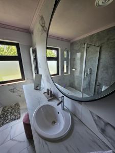 a bathroom with a sink and a large mirror at Lazy Olives in Tongeren