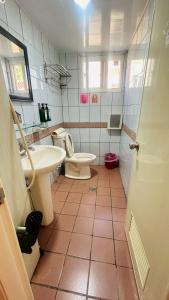 a bathroom with a toilet and a sink at Magaixian Homestay in Dongyin