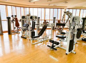 Fitness centrum a/nebo fitness zařízení v ubytování Grand Millennium Dubai