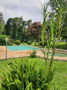 Πισίνα στο ή κοντά στο Chalé Tia Sofia 7