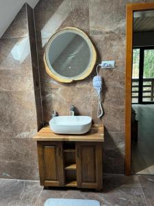 a bathroom with a sink and a mirror on the wall at Cabana Bradul Adelinei in Bucsin