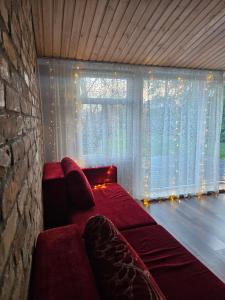 Χώρος καθιστικού στο Namiņš AMRAI +9 φωτογραφίες