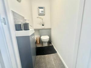 a small bathroom with a toilet and a sink at Lovely modern 4 bedroom House in Ashford in Ashford