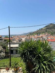 vista su una città con una palma di Με θέα το Κάστρο a Nafpaktos