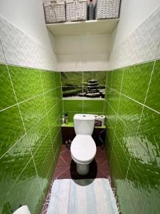 een badkamer met een toilet in een groene muur bij Blakus bērnu pilsētiņai un pludmalei in Ventspils +5 foto's