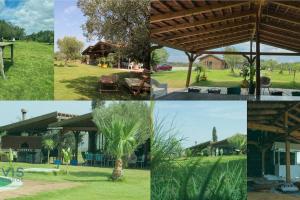 Zahrada ubytování Essanya Chalet with a private pool - Country side of nabeul