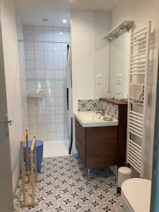 ein Badezimmer mit Toilette, Waschbecken und Dusche in der Unterkunft Petit Gîte 2 - 4 personnes in Le Longeron