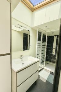 a bathroom with a sink and a mirror at Maisonnette Villeneuve d Ascq in Villeneuve d'Ascq