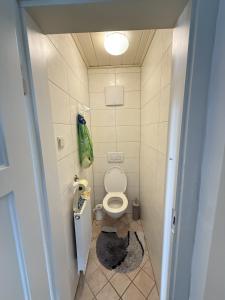 małą łazienkę z toaletą w kabinie w obiekcie Ferienwohnung Tagwerkerstrasse Innenstadt w mieście Gmunden