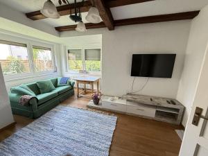 salon z zieloną kanapą i telewizorem z płaskim ekranem w obiekcie Ferienwohnung Tagwerkerstrasse Innenstadt w mieście Gmunden +2 zdjęcia