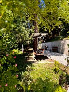 Vrt pred nastanitvijo Hotel forest echo