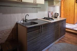 a kitchen with a sink and a stove at Апартаменти у Яни in Yablunytsya