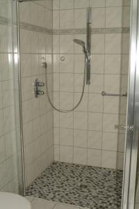 a bathroom with a shower with a glass door at Wellness-Ferienwohnung-EifelErnstbergblick 1 in Daun