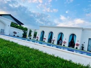 a white building with blue windows and plants on it at Villa Gyos in Costinesti