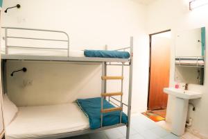 Letto o letti a castello in una camera di Joey's Hostel Agra - 200m from Taj Mahal