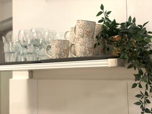 a shelf with cups and glasses and a potted plant at Haus für bis zu 7 Personen in Schwedt Oder Passow in Schwedt
