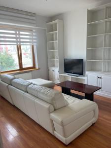 Μια τηλεόραση ή/και κέντρο ψυχαγωγίας στο 2 Bedroom Condo near Sukhbaatar square