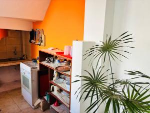 a kitchen with a white refrigerator and a plant at Bachita's apartment in Hacienda El Recreo