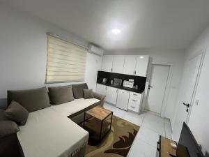 a living room with a couch and a kitchen at Apartmani AMAN in Dobra Voda