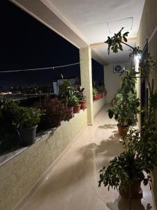 Fotografie z fotogalerie ubytování Villa's Daci v destinaci Tirana