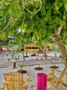 a park with two chairs and a tree at Gaviota Beach Chiclana in Chiclana de la Frontera