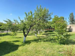 Κήπος έξω από το Chkalovka Guest House With Sevan View