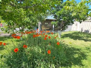 Κήπος έξω από το Chkalovka Guest House With Sevan View