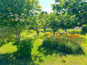 Κήπος έξω από το Chkalovka Guest House With Sevan View
