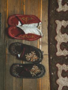 Foto dalla galleria di Nomad Yurt, 60 year old a Ryskulovo