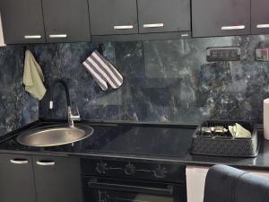 a kitchen with a sink and a counter top at Nobus Jezerska zvezda A7 in Veliko Gradište