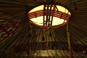 Foto dalla galleria di Nomad Yurt, 60 year old a Ryskulovo