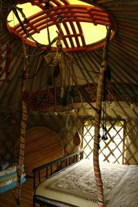 Foto dalla galleria di Nomad Yurt, 60 year old a Ryskulovo