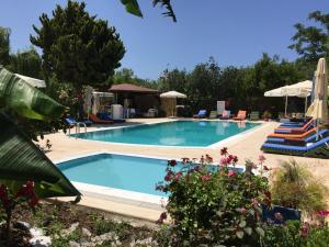 Der Swimmingpool an oder in der Nähe von Paradise Garden Apartments