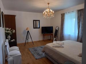 Μια τηλεόραση ή/και κέντρο ψυχαγωγίας στο Logis du Château de Brecy
